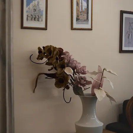 Residenza D'epoca Il Campo By Francigenaapartments Appartamento Siena